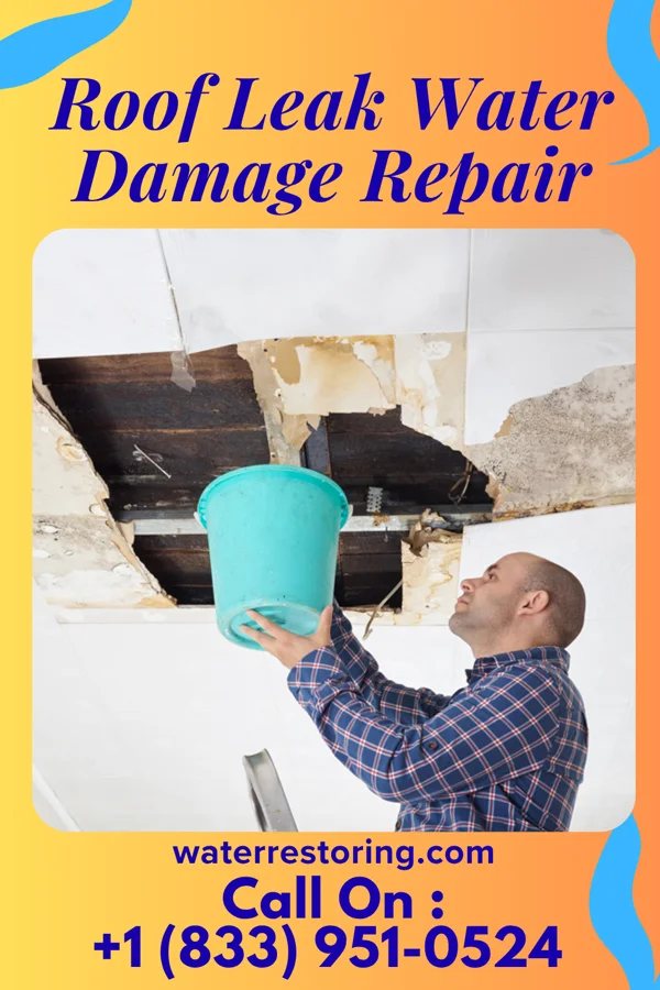Roof Leak Water Damage Repair in Alvord, IA