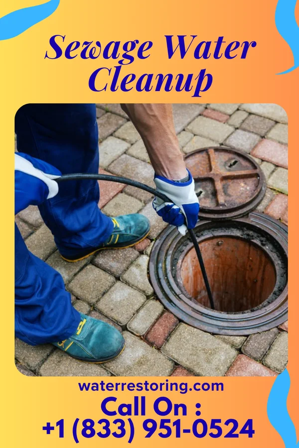 Sewage Water Cleanup in Alvord, IA